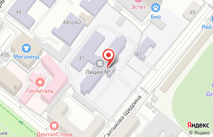 Лицей №1 им. М.В. Ломоносова на карте