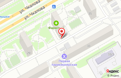 Желен на улице Чкалова на карте