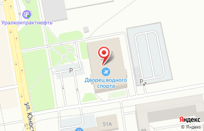 Дельфинчик на карте