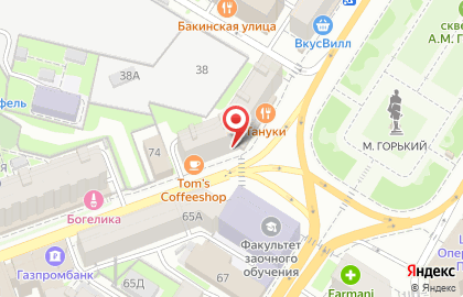 Центр информационная система на улице Максима Горького на карте