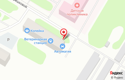 Магазин автозапчастей Автомагия на улице Терешковой на карте