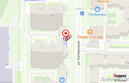 Зоомагазин PetShop.ru в Красносельском районе на карте