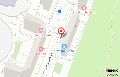 Мартин на Кутузовской улице на карте