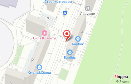 Домашний консультант на Кутузовской улице на карте