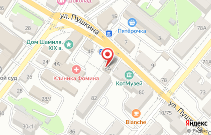 Линия жизни на улице Пушкина на карте