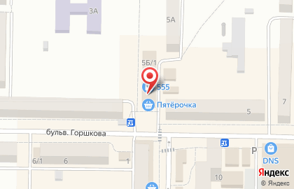 Супермаркет Пятерочка в Рузаевке на карте