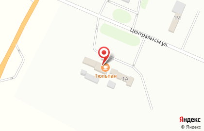 Кафе Светлана на Центральной улице на карте