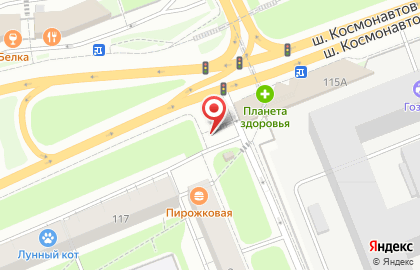 Сеть магазинов цветов, ИП Садыева Н.С. на карте