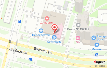 Ветеринарная клиника неврологии доктора Сотникова на улице Репищева на карте