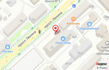 Салон флористики Город цветов на проспекте Ленина на карте