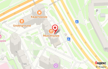 Зооаптека Племпредприятие Псковское на карте