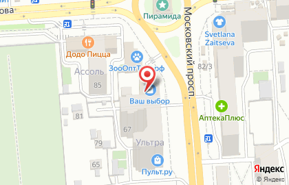 Подкова на Московском проспекте на карте