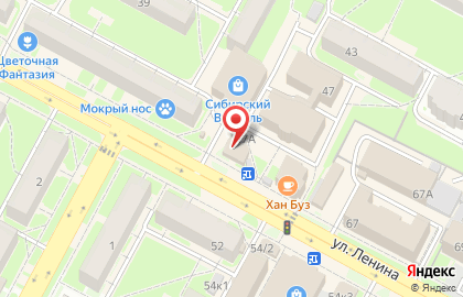 Центр мобильной электроники и цифровой техники Цифроград на улице Ленина на карте