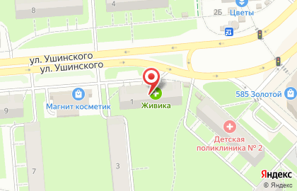 Аптека Живика в Перми на карте