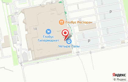 Зоомагазин Четыре лапы на улице Генерала Попова на карте