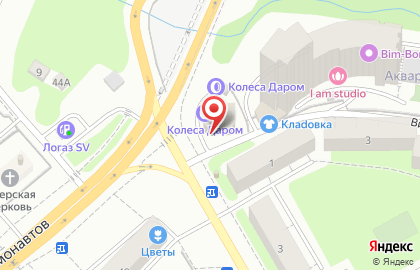 Шинный центр Колеса Даром на шоссе Космонавтов на карте