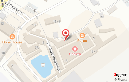 Зоомагазин Каркуша на улице Лизы Чайкиной в Светлом на карте