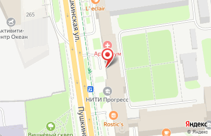 Магазин нижнего белья Nectar на Пушкинской улице на карте
