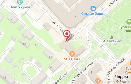 Магазин Дачник+Рекс на улице Островского на карте