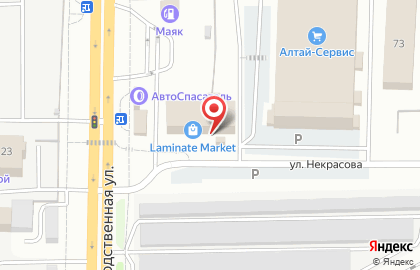 DonShaur на карте