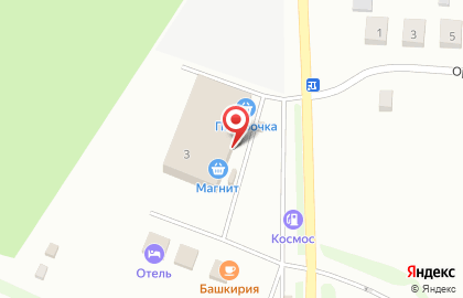 Супермаркет Пятёрочка на улице Академика Курчатова на карте