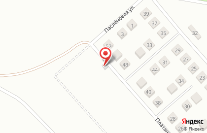 Универсамчик на Платановой улице на карте