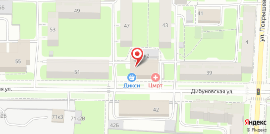 Лечебно-диагностический медицинский центр ЦМРТ на Дибуновской улице на карте