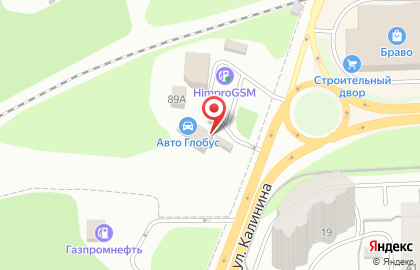 Авторизованный сервисный центр Mobil 1 Центр в Кировском районе на карте