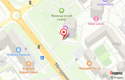 Ветеринарная клиника Добрый Доктор на Мичуринской улице на карте