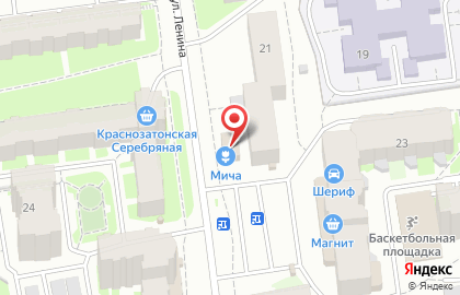 Цветочный салон Мича на улице Ленина на карте