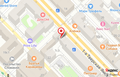 Удобный магазин Магнолия на 1-й Тверской-Ямской улице, 9 на карте
