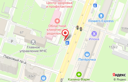 Киоск фастфудной продукции на Большой Московской улице на карте