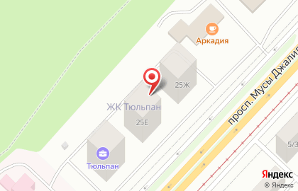 Тюльпан на карте