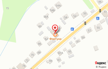 Фортуна на улице Ленина на карте