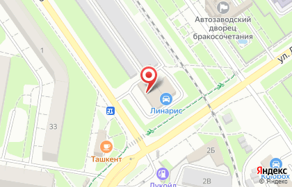 Шинный центр Линарис на улице Раевского на карте