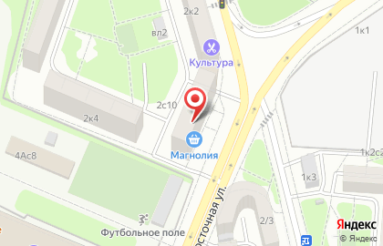 Удобный магазин Магнолия на метро Автозаводская на карте