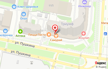 Салон Дверянин в Ленинском районе на карте
