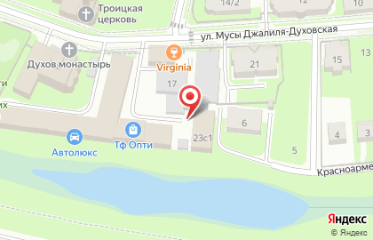 3D Кот на карте