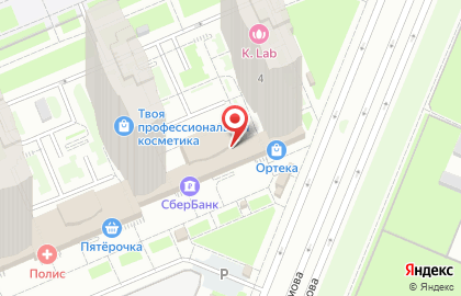 Аптека Столички в Санкт-Петербурге на карте