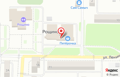 Магазин молочной продукции и хлебобулочных изделий на улице Ленина на карте