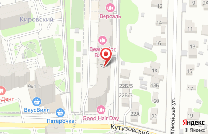 Ветеринарная клиника Ветдруг на улице Кирова на карте