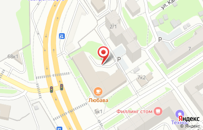 ООО Азалия на Ельцовской улице на карте