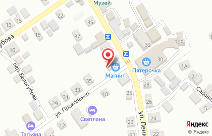 Магазин разливного пива Хмельная Миля на улице Ленина на карте