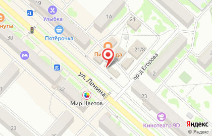 Компания Камышинский сортсемовощ на улице Ленина на карте