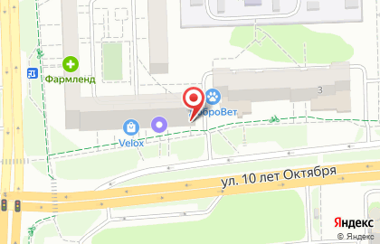 Стоматология Город улыбок на Пушкинской улице на карте