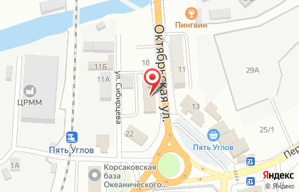 Техник в Корсакове на карте