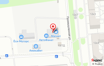 Автосервис АВТОПАПА в Пушкинском районе на карте