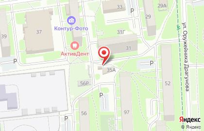 Птица на Клубной улице на карте