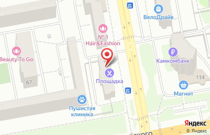 Магазин отопительного оборудования Тепло Люкс на Пушкинской улице на карте