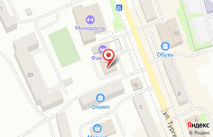 Магазин цифровой и бытовой техники DNS на улице Тургенева на карте